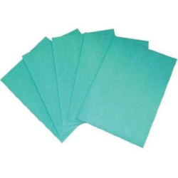 LAVETTE MULTI USAGE PROFESSIONNELLE - LAVETTE AJOUREE VERTE