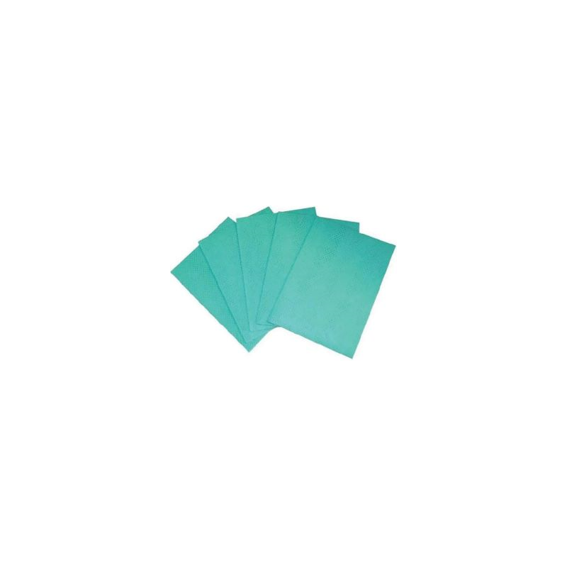 LAVETTE MULTI USAGE PROFESSIONNELLE - LAVETTE AJOUREE VERTE